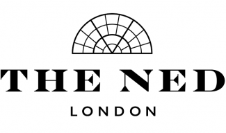 The Ned Logo